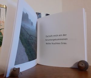 Blick in das Buch "Stadt - Natur" von Heike Baller (S. 18-19)